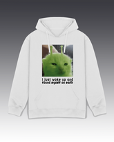 DIYANYONE Original Meme Hoodie: Alien Cat Earth Wake-Up