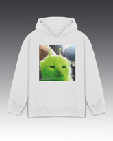 DIYANYONE Original Retro Futurism Hoodie: Green Alien Kitten Chart