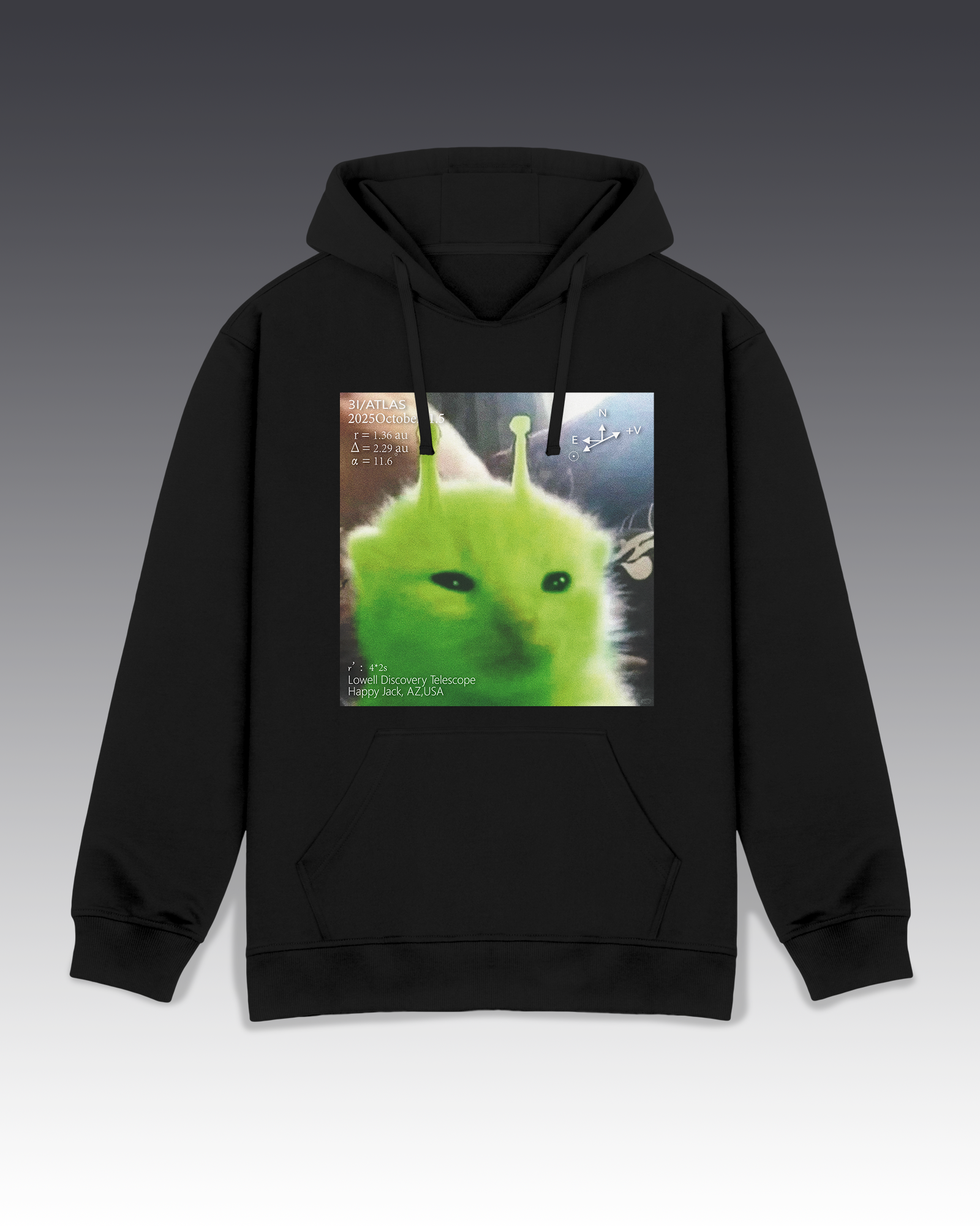 DIYANYONE Original Retro Futurism Hoodie: Green Alien Kitten Chart