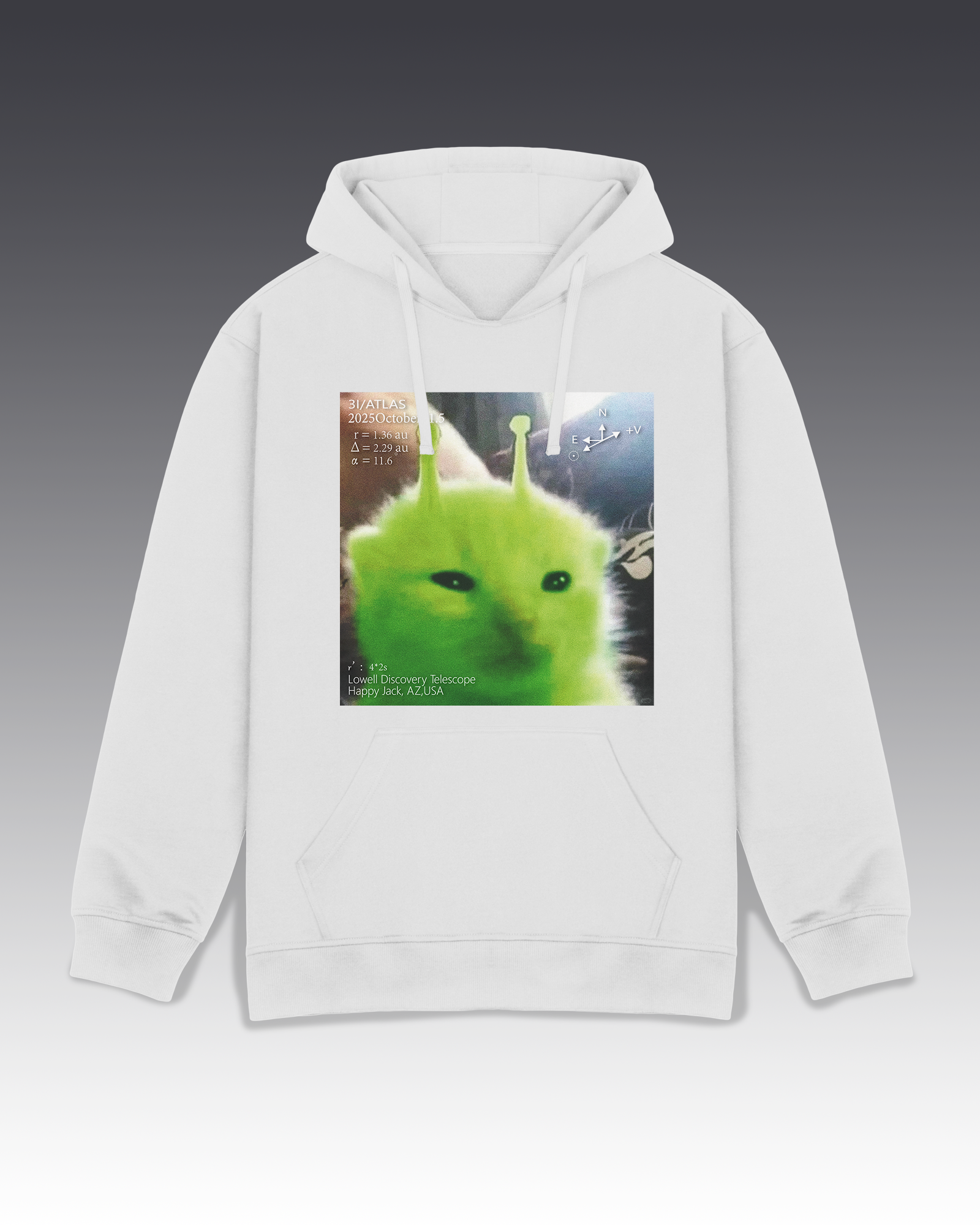 DIYANYONE Original Retro Futurism Hoodie: Green Alien Kitten Chart