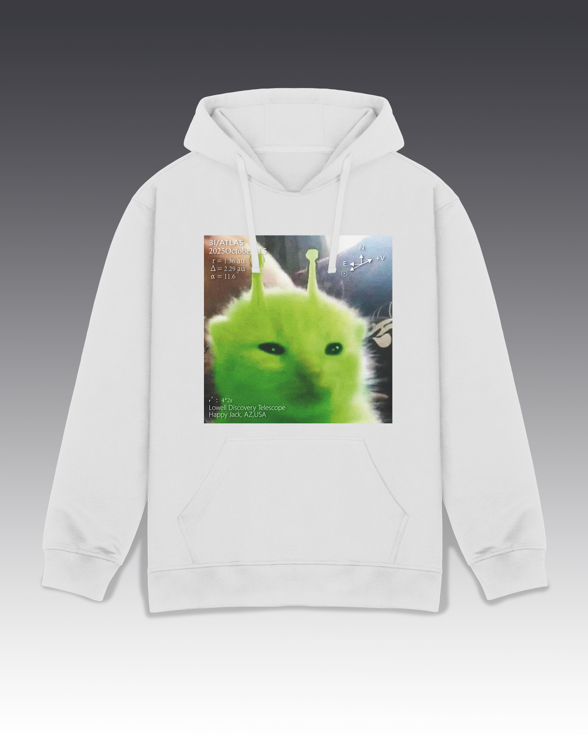DIYANYONE Original Retro Futurism Hoodie: Green Alien Kitten Chart