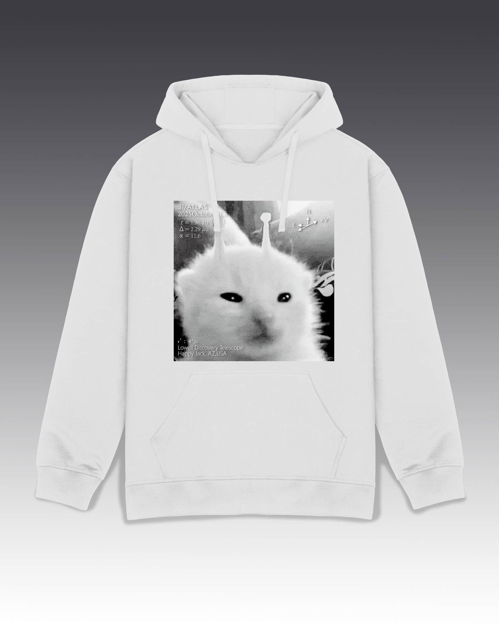 DIYANYONE Original 3I/Atlas Sci-Fi Aesthetic Hoodie: Alien Kitten Observation Chart