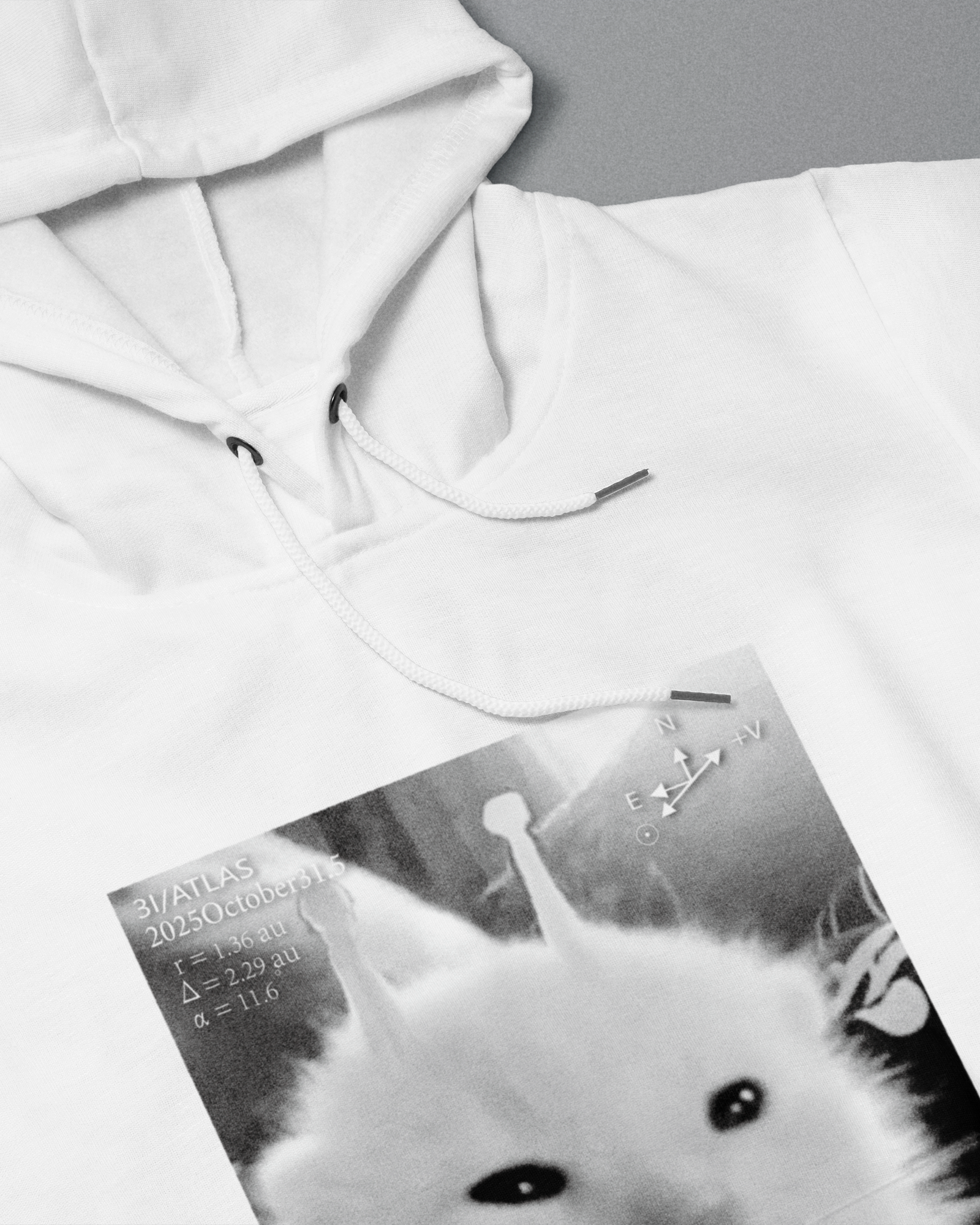 DIYANYONE Original 3I/Atlas Sci-Fi Aesthetic Hoodie: Alien Kitten Observation Chart