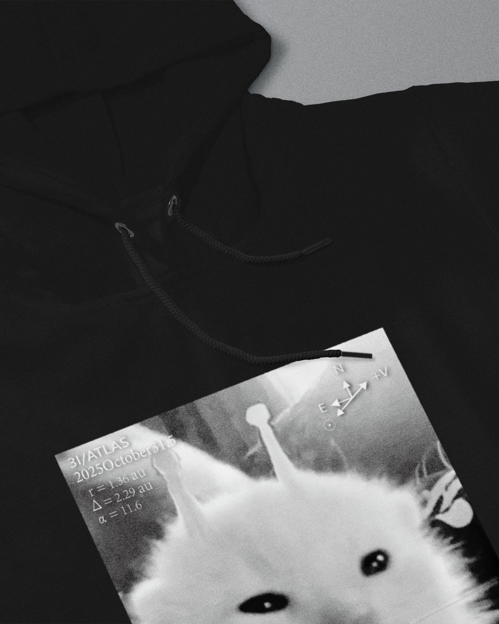 DIYANYONE Original 3I/Atlas Sci-Fi Aesthetic Hoodie: Alien Kitten Observation Chart