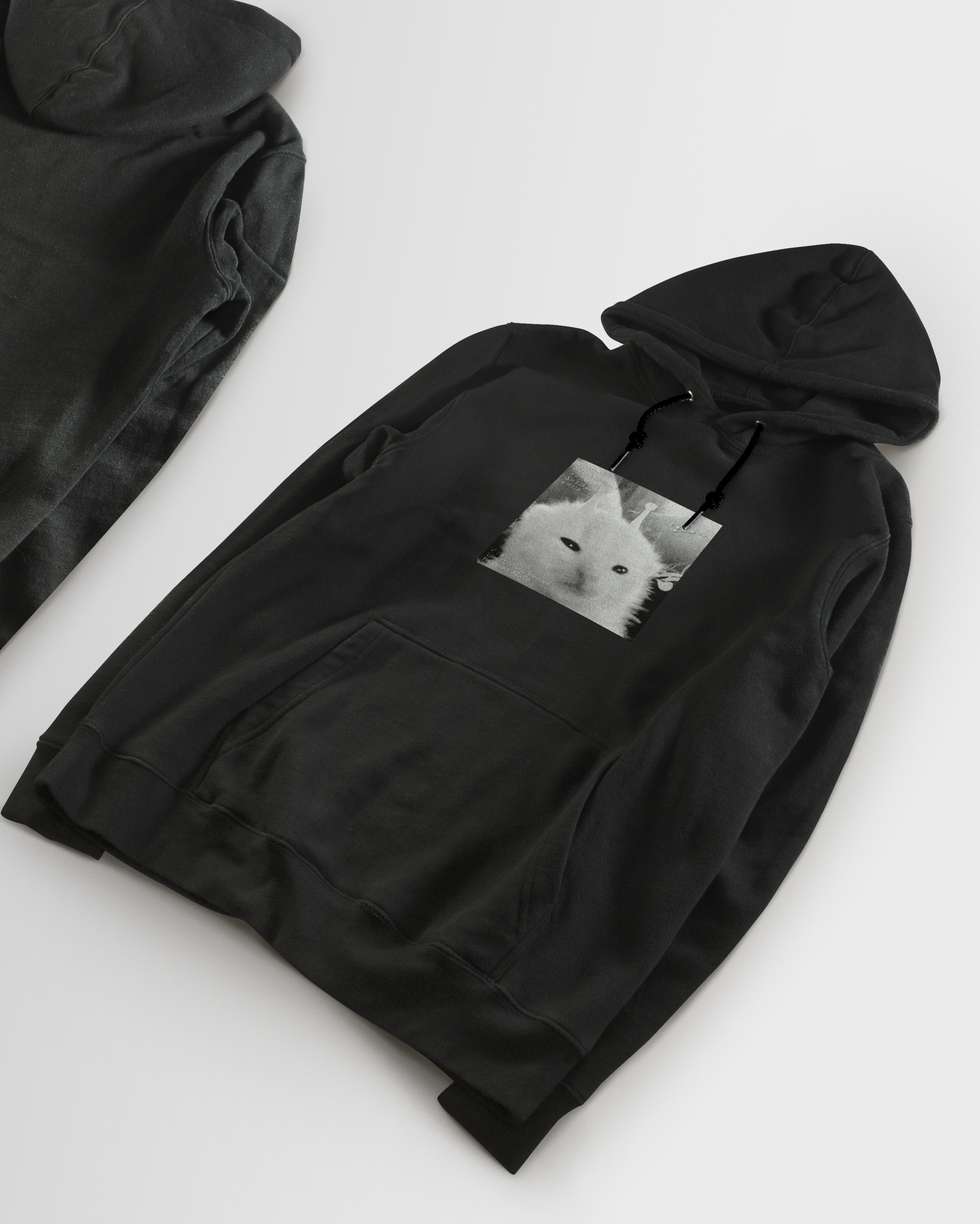 DIYANYONE Original 3I/Atlas Sci-Fi Aesthetic Hoodie: Alien Kitten Observation Chart