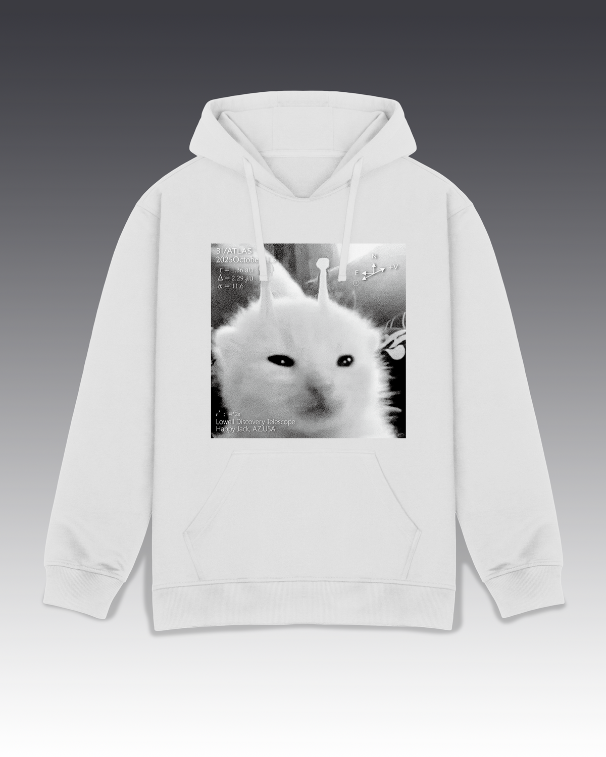 DIYANYONE Original 3I/Atlas Sci-Fi Aesthetic Hoodie: Alien Kitten Observation Chart