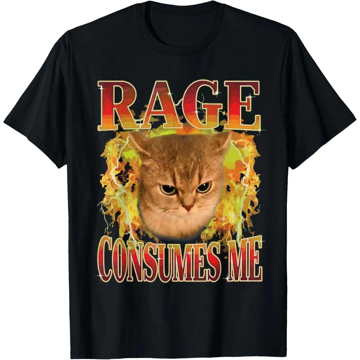 Cat Rage Is Consuming Me Funny Angry Meme Cats Humor T-Shirt Tees Classic