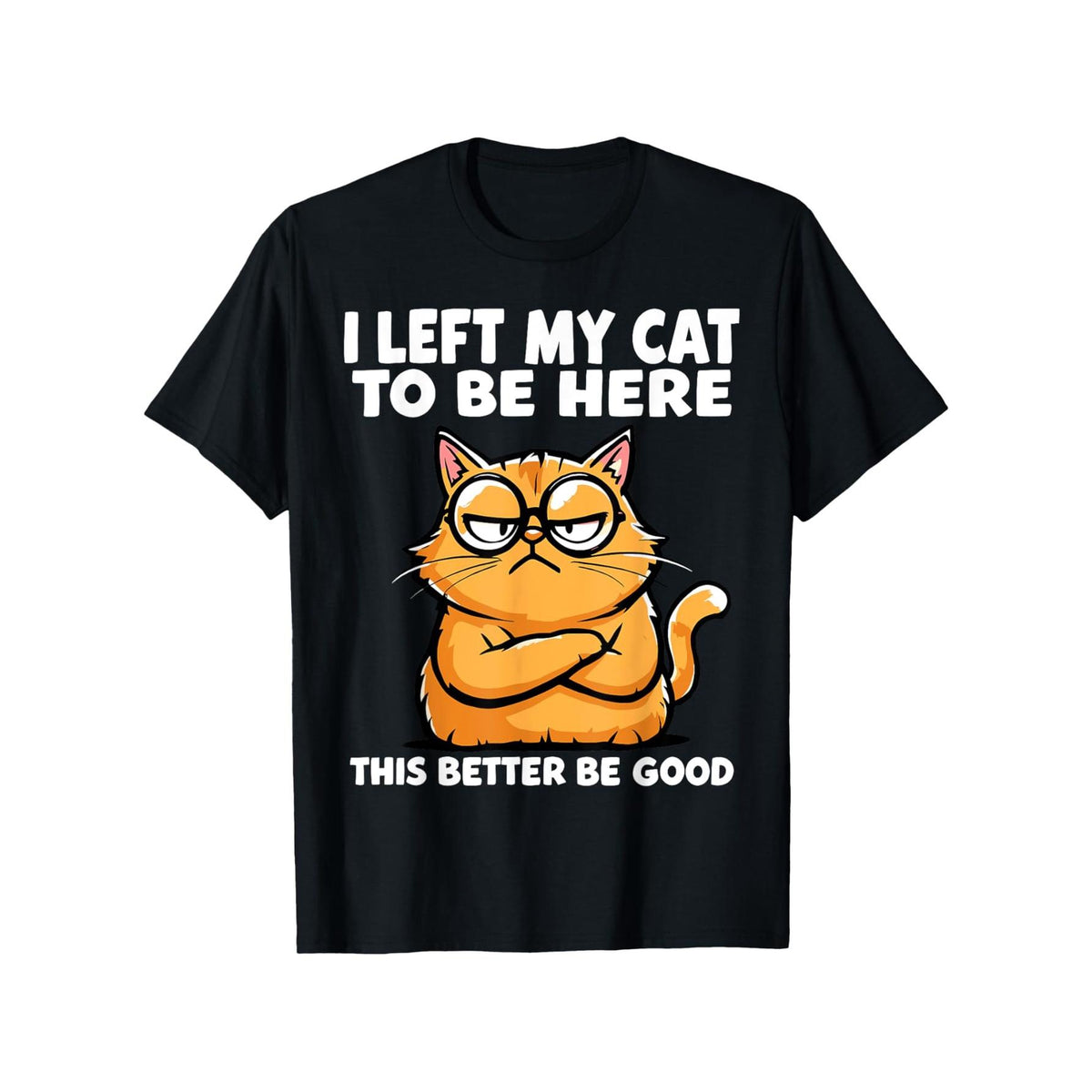 I Left My Cat to Be Here, This Better Be Good Funny Cat Lover T-Shirt - Sarcastic Pet Parent Graphic Tee, Unisex Casual Top