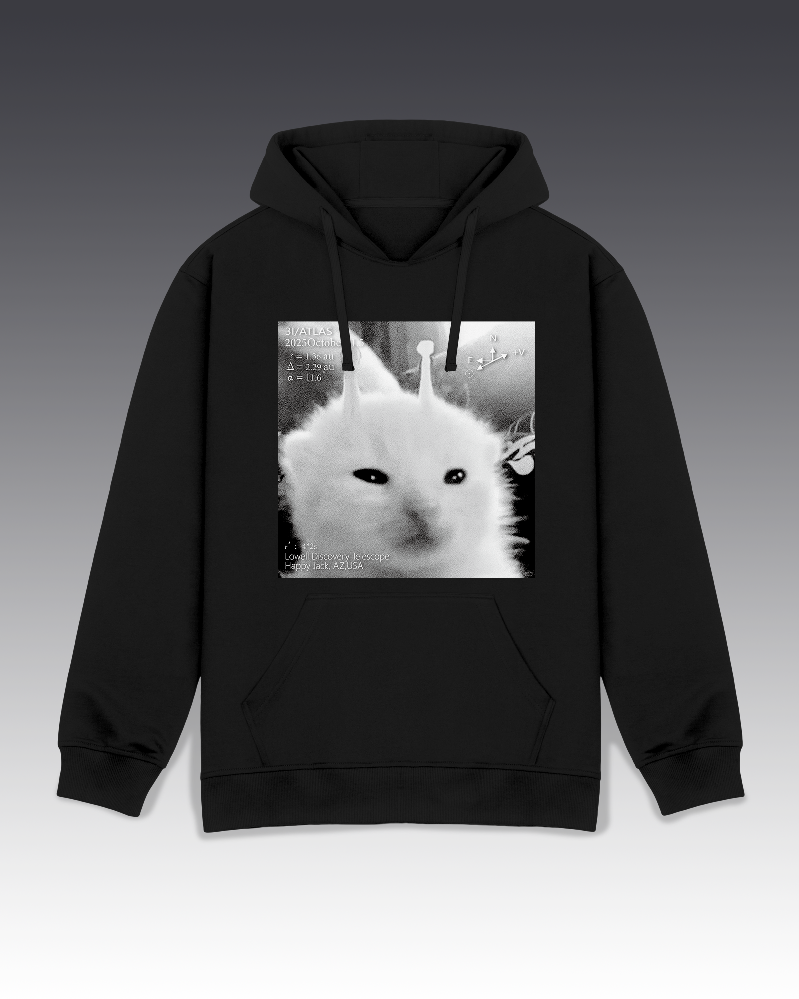 DIYANYONE Original 3I/Atlas Sci-Fi Aesthetic Hoodie: Alien Kitten Observation Chart