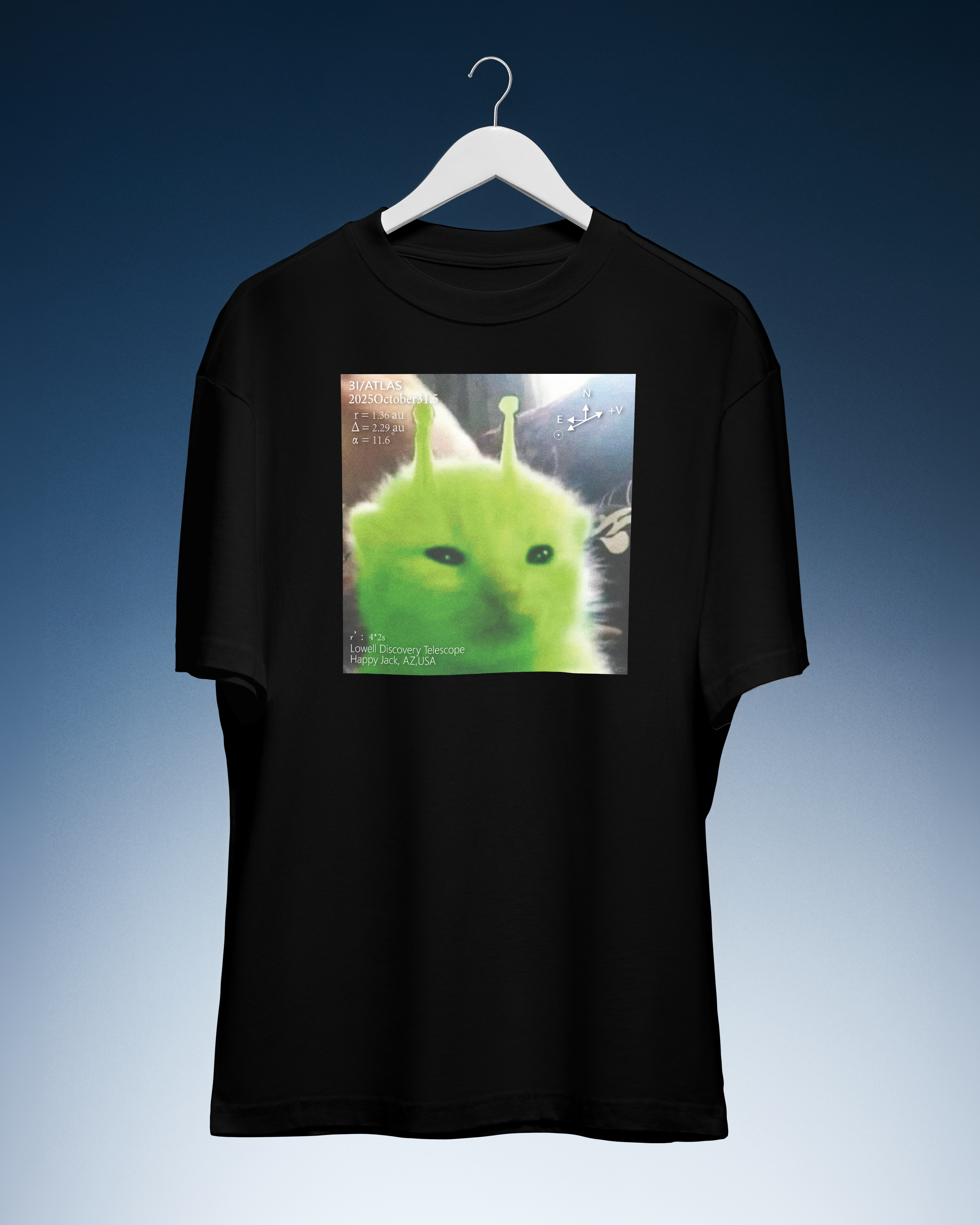DIYANYONE 3i/atlas Original Green Alien Cat Meme 10.31 LDT Trail Tee
