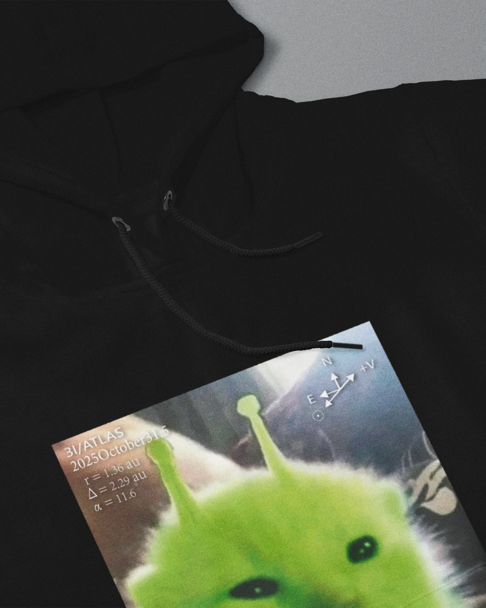 DIYANYONE Original Retro Futurism Hoodie: Green Alien Kitten Chart